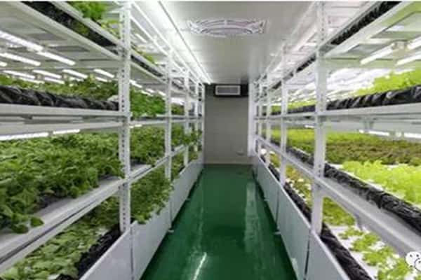 丝瓜视频在线播放生產中常見問題及應對措施