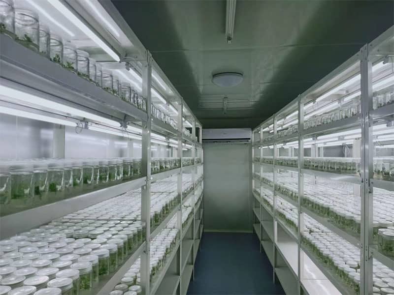 丝瓜视频在线播放  丝瓜视频在线播放設備  植物丝瓜视频在线播放