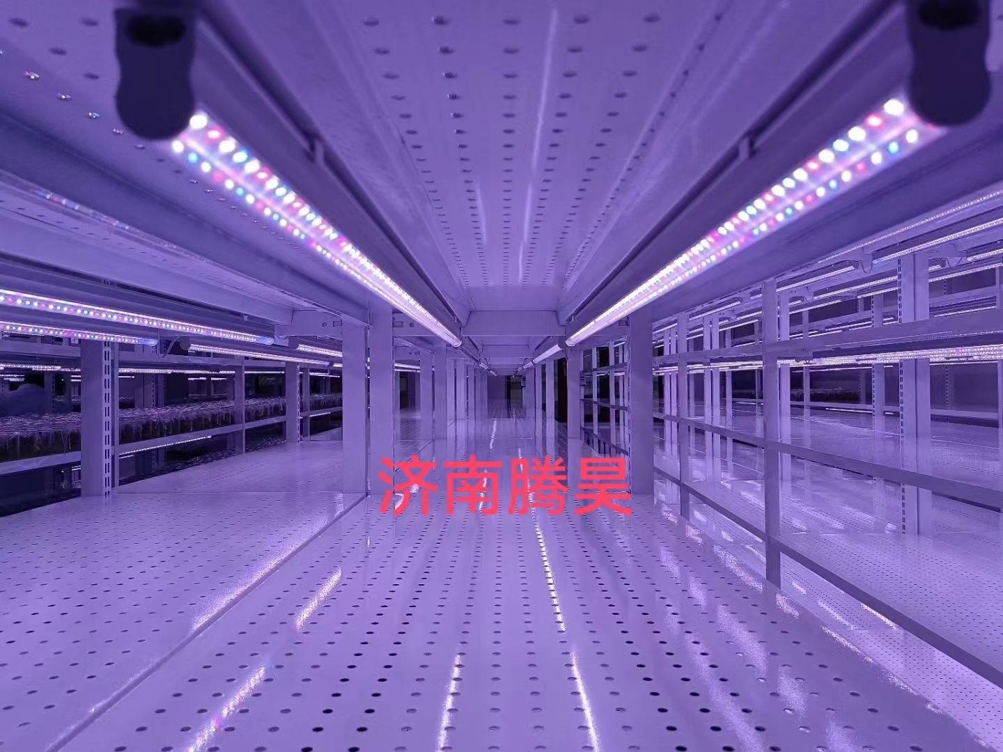 丝瓜视频在线播放架，培養架，光照培養架，丝瓜视频在线播放室設計，丝瓜视频在线播放室無菌淨化